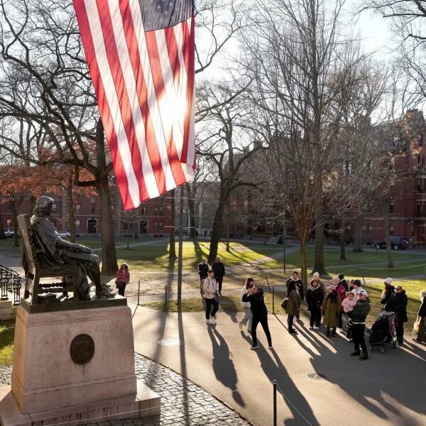 Down Arrow Button Icon