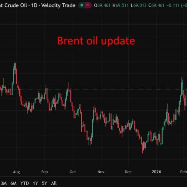Vitol lifts long-term oil demand outlook, sees peak delayed to mid-2030s