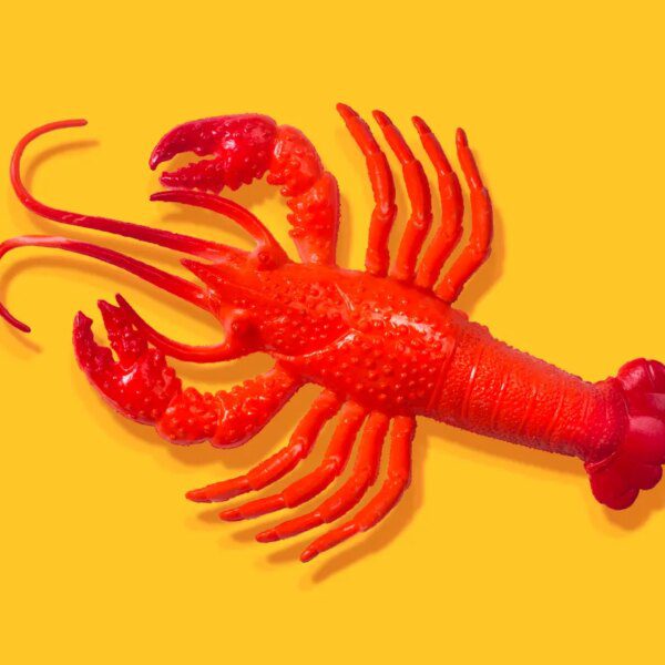 After all of the hype, some AI consultants do not assume OpenClaw…