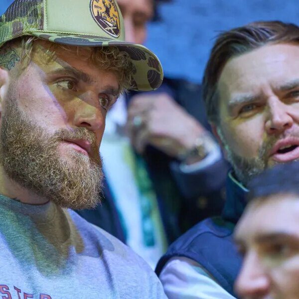 Jake Paul might have gotten his jaw damaged on Netflix, however he…