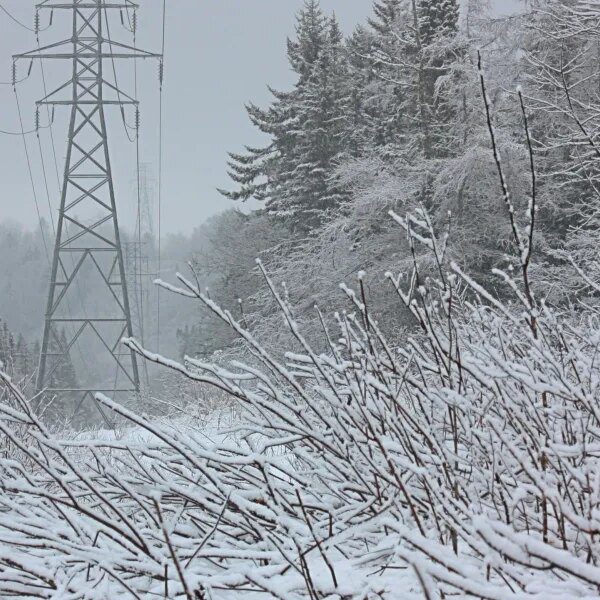 Down Arrow Button Icon