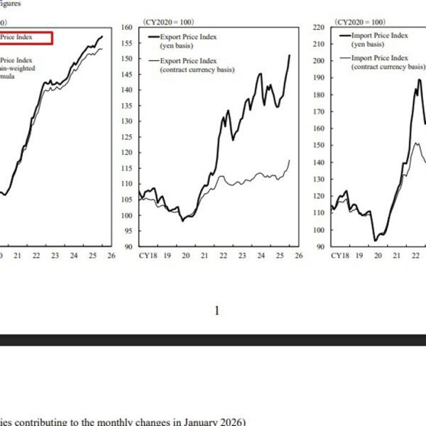 Japan January wholesale inflation slows to 2.3% as import costs rise