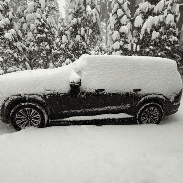 The 9,000-pound monster I do not wish to give again