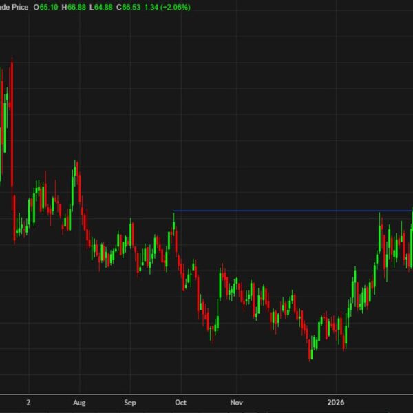 WTI crude oil settles on the highest since August on Iran conflict…