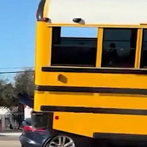 Jaguar Driver Crashes Into School Bus on Video, Later Arrested for DV…