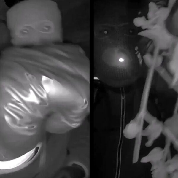 Authorities Release First Videos, Pics of Potential Subject in Nancy Guthrie Case