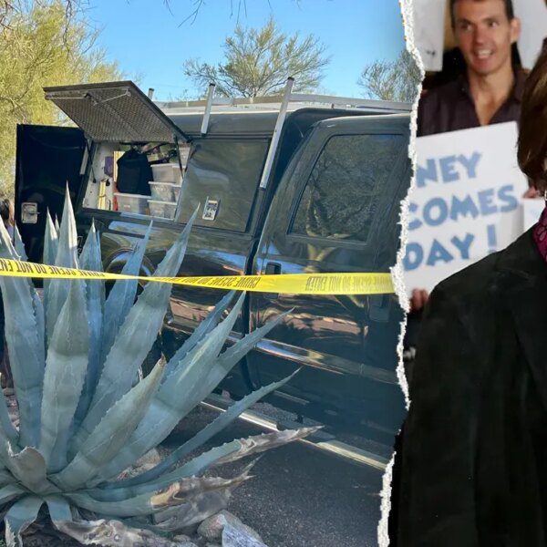 DNA outcomes on glove proof might be pivotal in Nancy Guthrie case