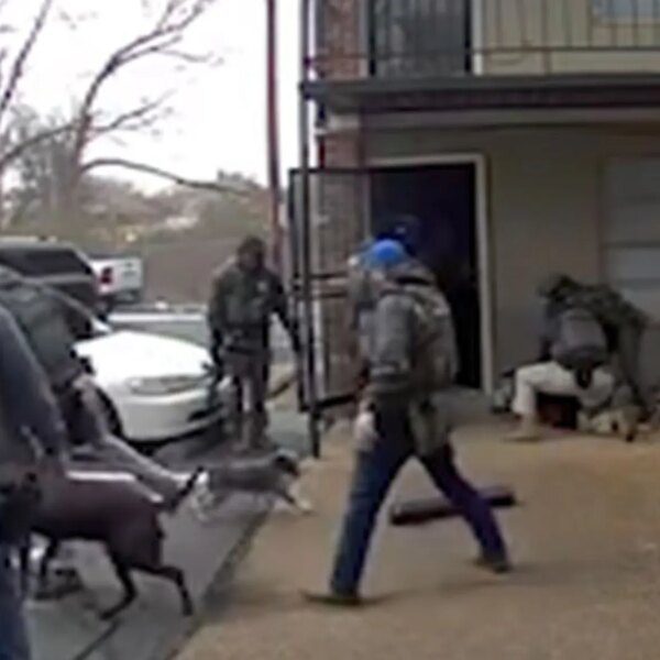 U.S. Marshal Kicks Small Dog Twice in Shocking Video Taken During Arrest