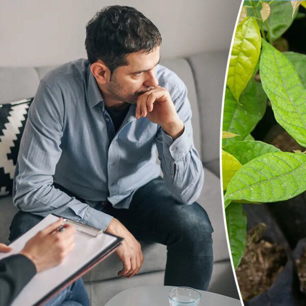 Major melancholy signs relieved by psychedelics in new scientific trial