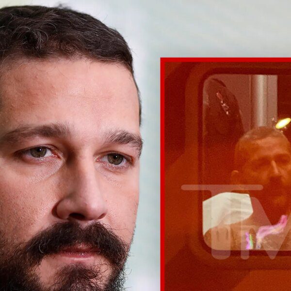 Shia LaBeouf Repeatedly Hurled Gay Slurs During Arrest, Police Say