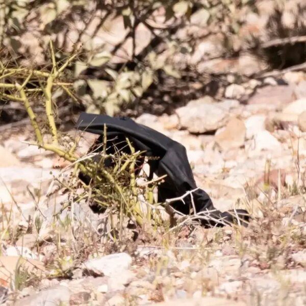 Nancy Guthrie gloves discovered close to Tucson dwelling examined for DNA proof