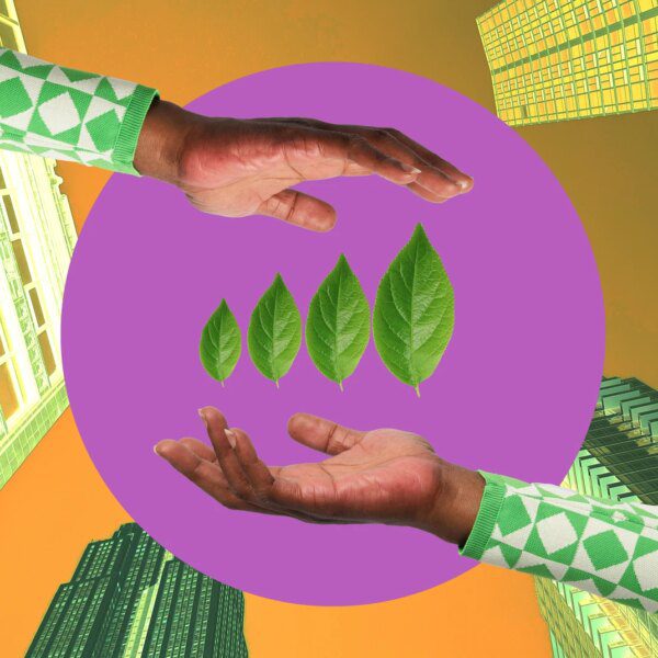 Impax U.S. Sustainable Economy Fund This fall 2025 Commentary