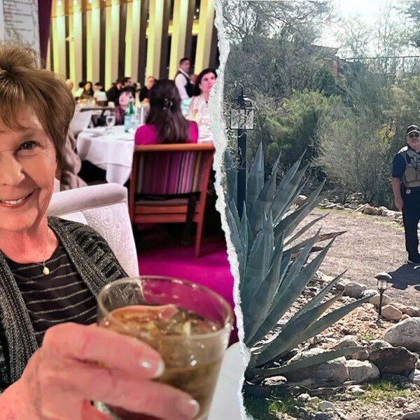 Nancy Guthrie suspected abduction: No individual of curiosity recognized