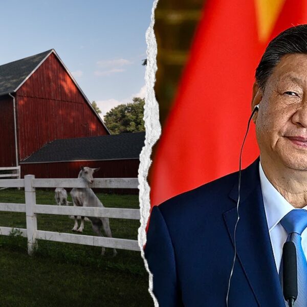 Lawmakers demand solutions from FFA over Chinese Communist Party ties