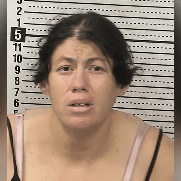 New Mexico lady charged after allegedly drowning new child in transportable rest&hellip;
