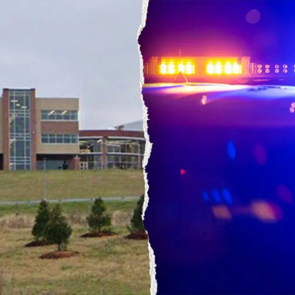 Teen charged with over 300 felonies in alleged sextortion scheme: stories