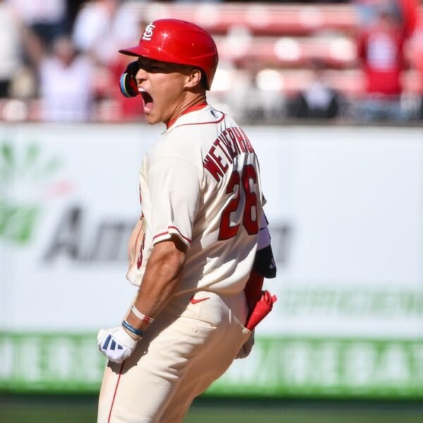 JJ Wetherholt hits 1st walk-off, Cardinals thwart Rays comeback
