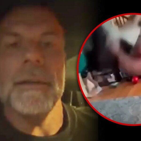 Man Arrested After Brutal Dog Assault Caught on Camera in Connecticut