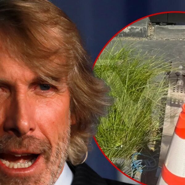 Michael Bay Sues Women Who Allegedly Damaged His Home In Hit-and-Run
