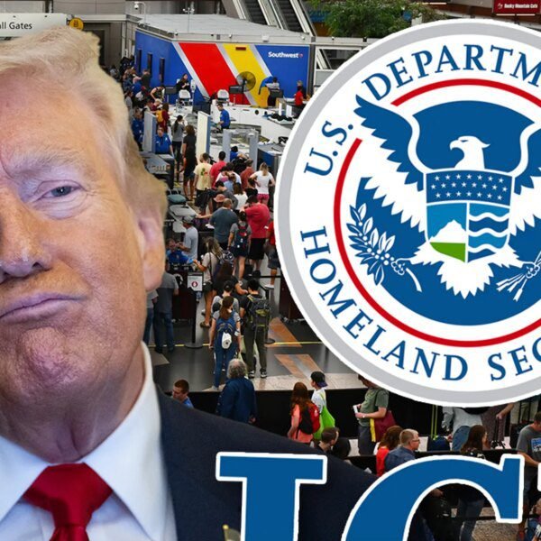 Donald Trump Sending ICE Agents to Airports to Assist TSA