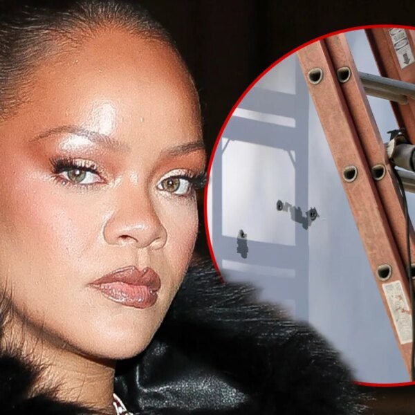 Rihanna’s Alleged House Shooter Could Lose Ability to Practice Speech-Language Pathology