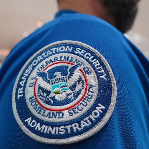 Top airline CEOs plead with Congress to revive DHS funding and pay&hellip;