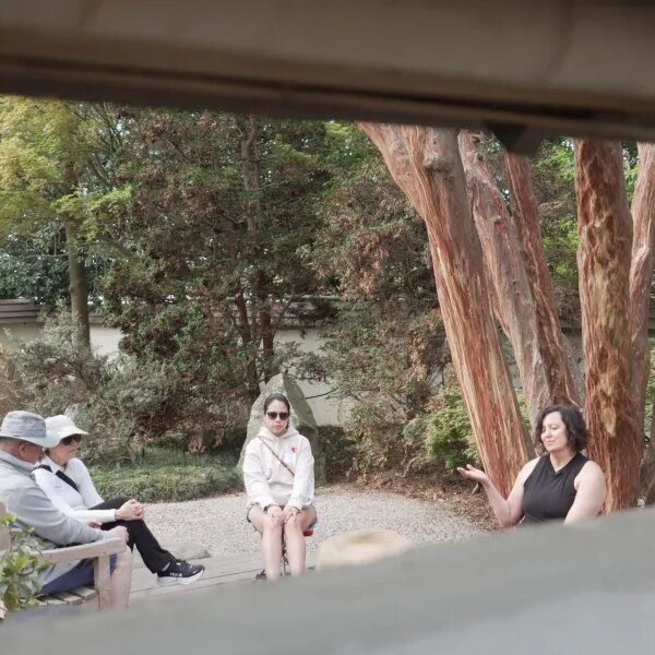 Forest ‘bathing’ can cut back stress, enhance temper, decrease blood strain and&hellip;