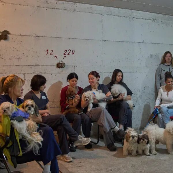 ‘We don’t plan on any negotiations’: Iran laughs at White House’s claims&hellip;