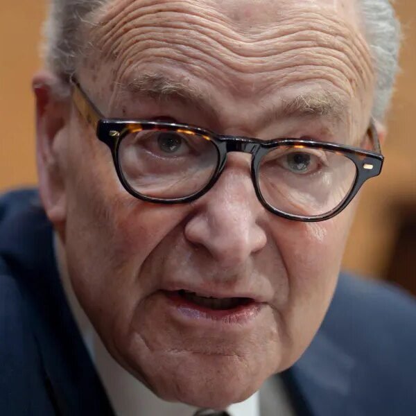Democrats in disarray as rank and file conflict with Chuck Schumer’s plan…