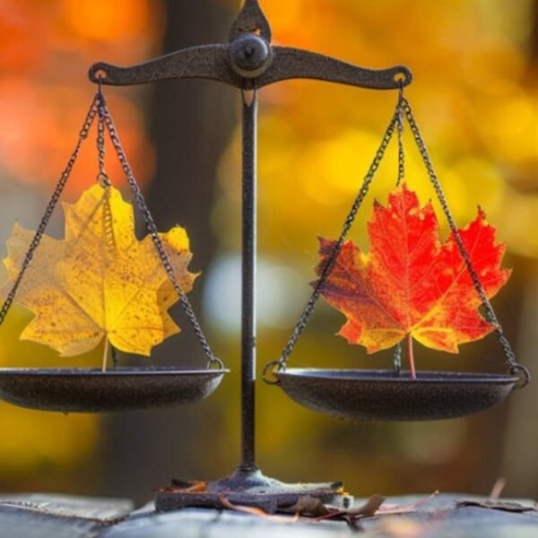 Canada January commerce steadiness -3.65B vs -0.9B anticipated