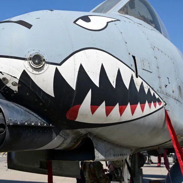 As the U.S. gears up for a possible floor warfare in Iran,…