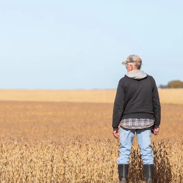 How the Iran struggle is sending fertilizer costs hovering—and threatening 48 million&hellip;