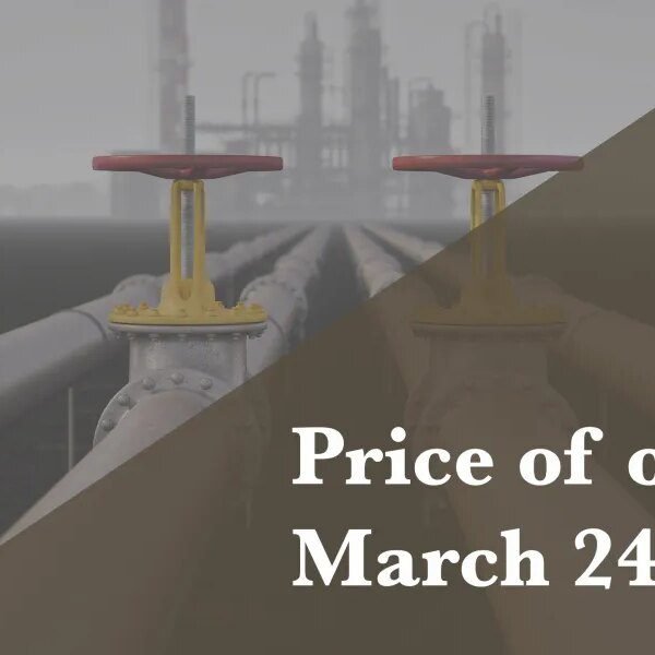 Down Arrow Button Icon