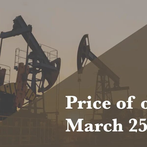 Down Arrow Button Icon