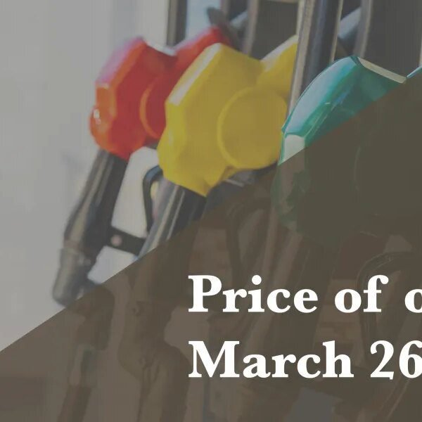 Down Arrow Button Icon