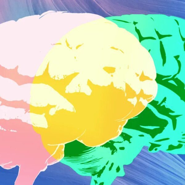 Grammarly’s ‘expert review’ is simply lacking the precise consultants