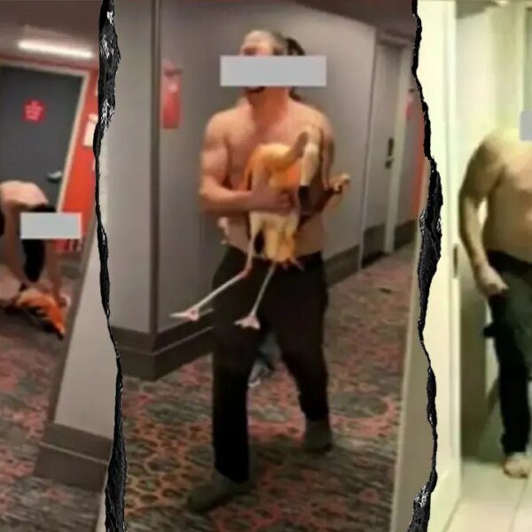 Canadian vacationer arrested for stealing flamingo from Las Vegas on line casino