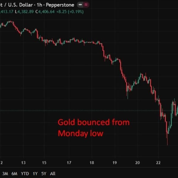 Gold oversold sufficient to rally, says Renaissance Macro’s DeGraaf