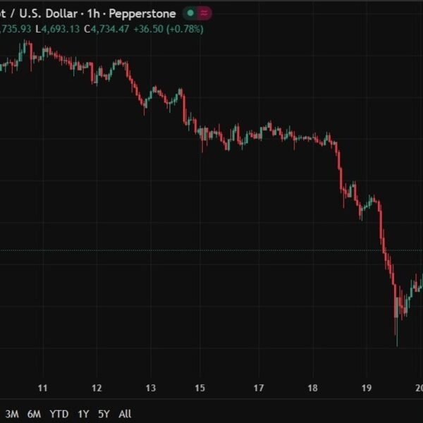 investingLive Asia-Pacific FX information wrap: Gold bounced again above $4730