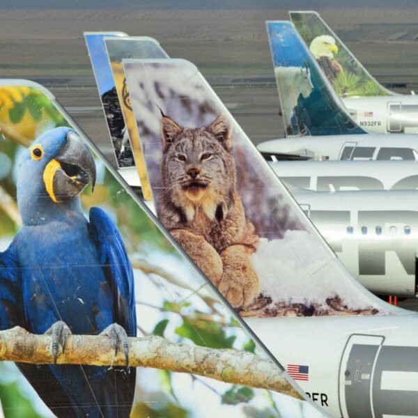 Frontier Airlines Stock Ebbs With Industry Ups And Downs (NASDAQ:ULCC)