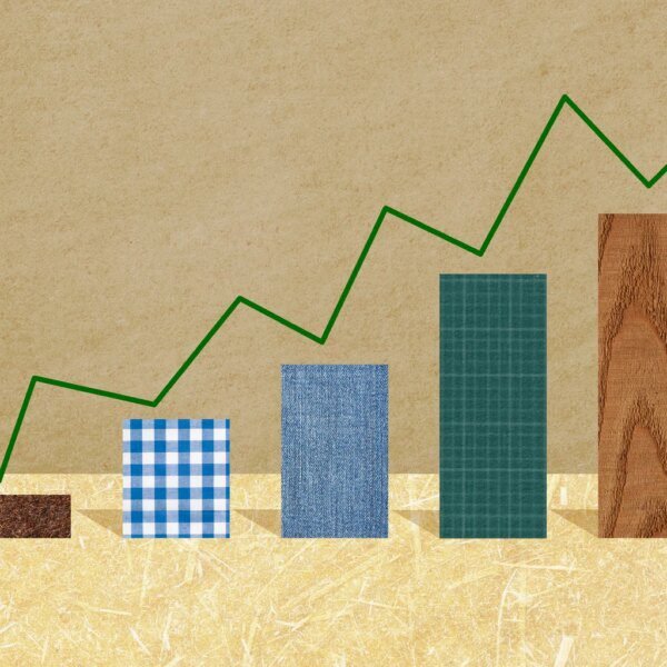 Capital Southwest: Demonstrating Resilience Amid Private Credit Sector Concerns (CSWC)