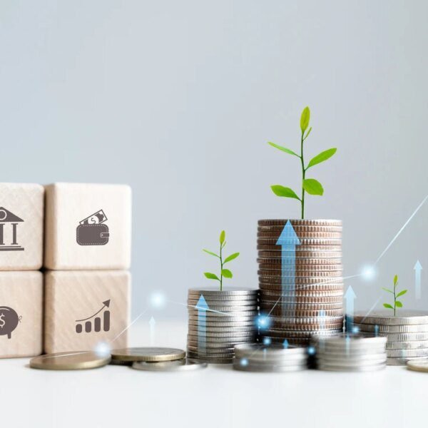 Invesco Emerging Markets Local Debt Fund This autumn 2025 Commentary (OEMAX)