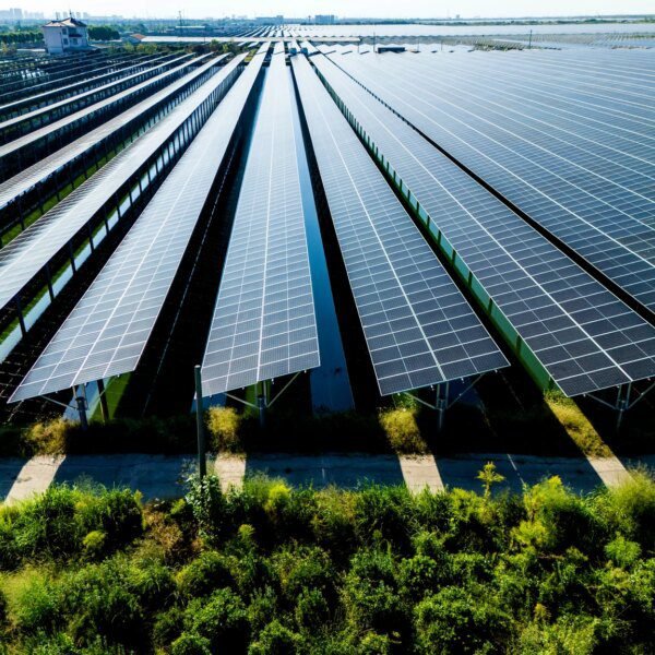 ARRY: An Interesting Business That Could Be A Value Trap (NASDAQ:ARRY)