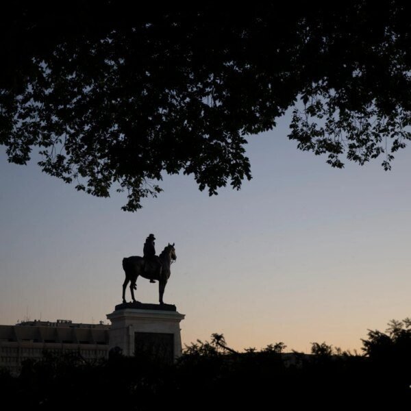 Kinsale Capital Stock: Business Fundamentals Support Upgrade At Lower Price (NYSE:KNSL)