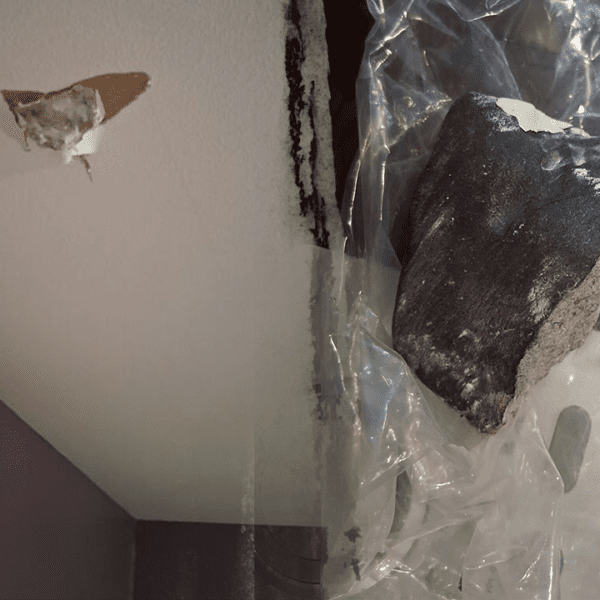 Suspected meteorite crashes by means of Texas girl’s roof close to Houston