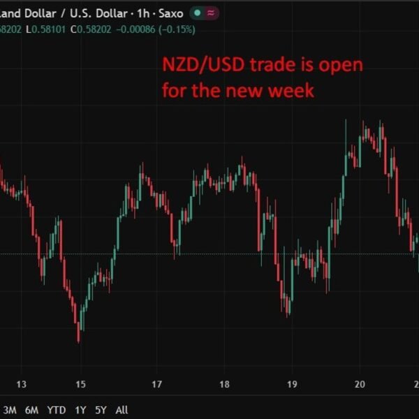 New Zealand outlook minimize to unfavorable by Fitch as debt issues mount