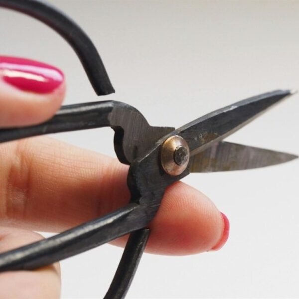 Australia to chop taxes on petrol and diesel use as a part&hellip;