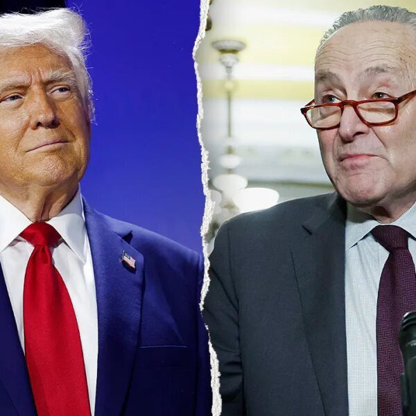 Schumer calls Trump’s plan to deploy ICE brokers to US airports ‘impulsive’