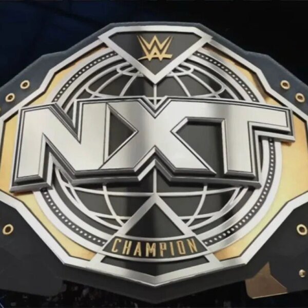 2-time WWE champion opens up about emotions whereas being off AEW TV:…