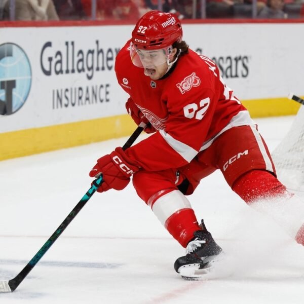 Red Wings goal to bolster playoff hopes in house finale vs. Devils